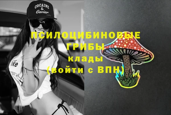 шишки Пролетарск